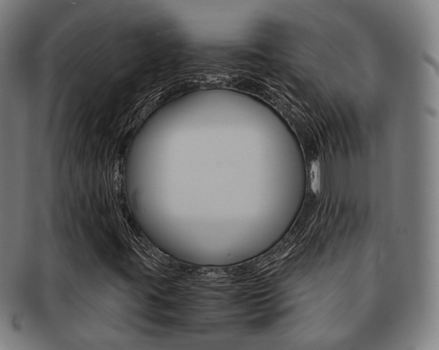 X0000091901395200709051054