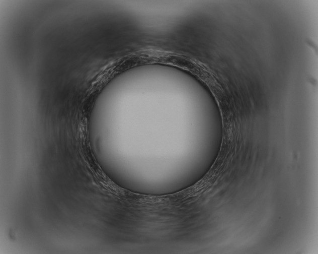 X0000091901397200709051054
