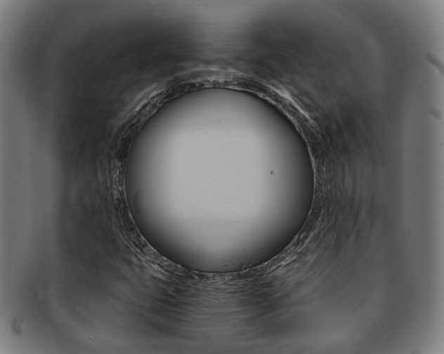 X0000091901399200709051054