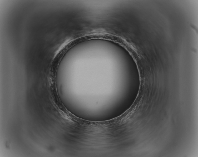 X0000091901400200709051054
