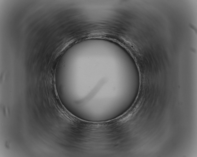 X0000091901401200709051054