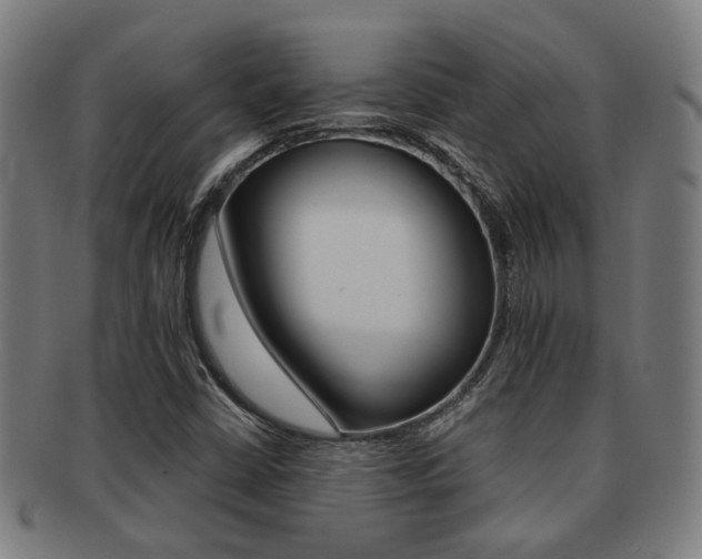 X0000091901402200709051054