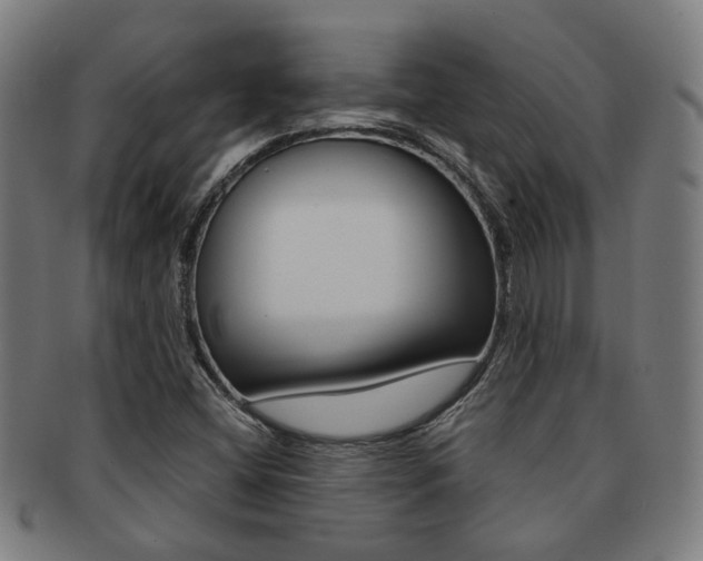 X0000091901404200709051054