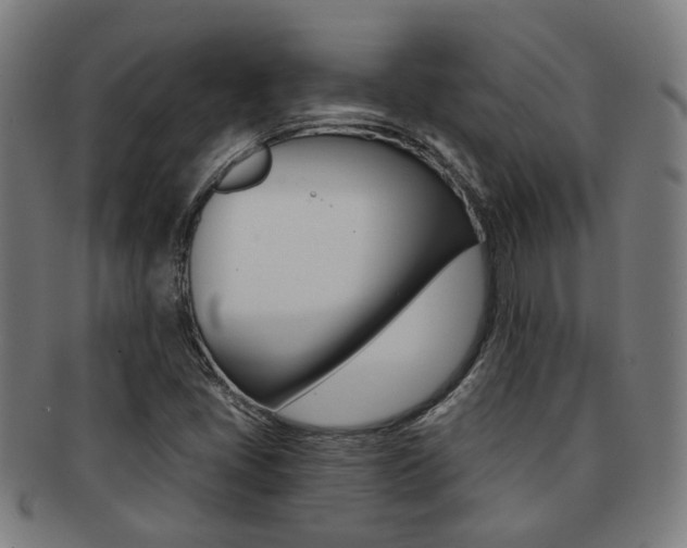 X0000091901405200709051055