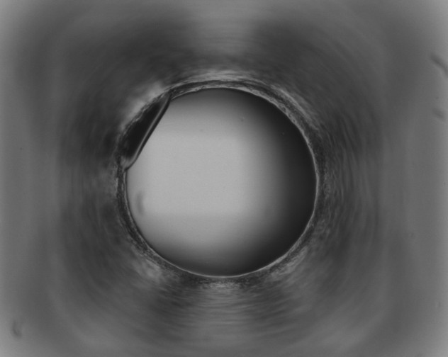 X0000091901406200709051055