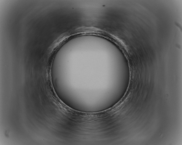 X0000091901407200709051055