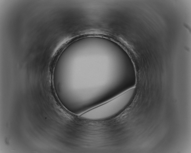 X0000091901408200709051055