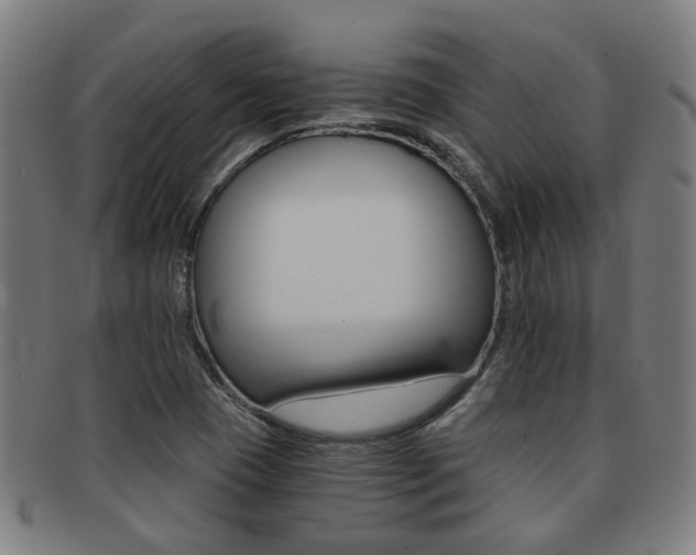 X0000091901409200709051055