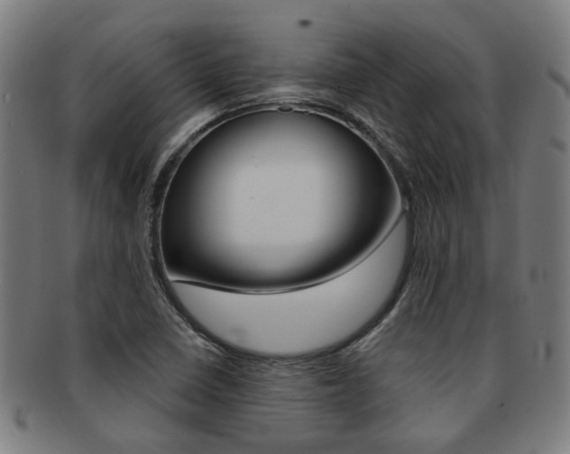 X0000091901410200709051055