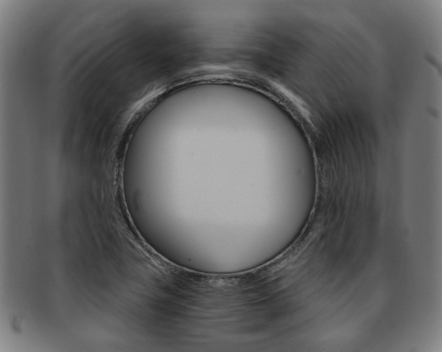X0000091901411200709051055