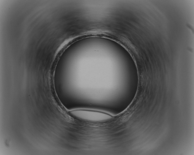 X0000091901412200709051055