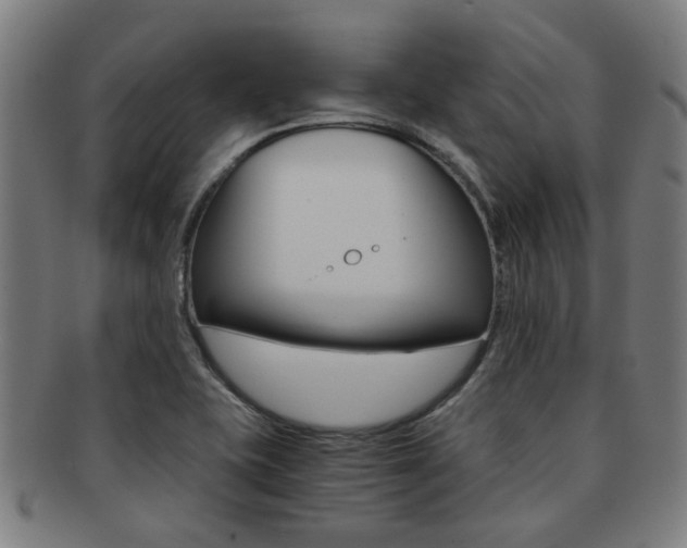 X0000091901415200709051055