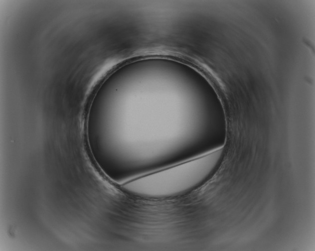 X0000091901416200709051055