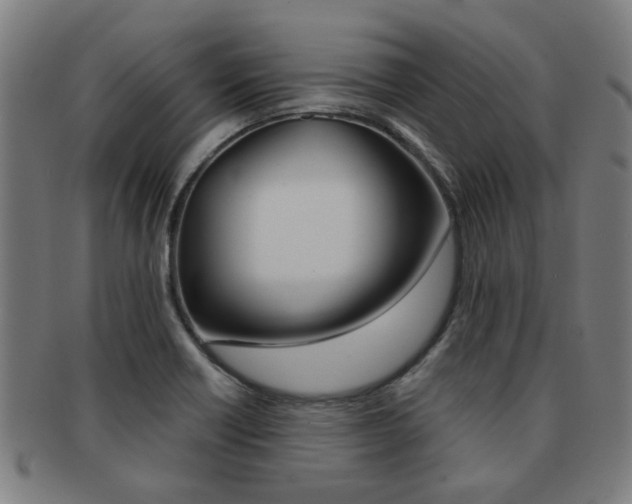 X0000091901418200709051055