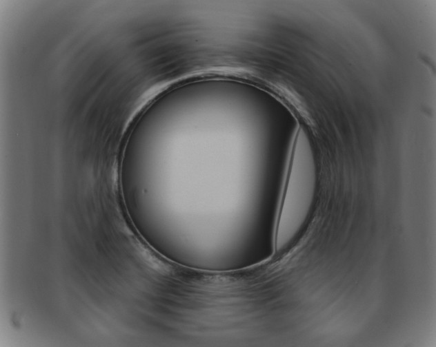 X0000091901420200709051055