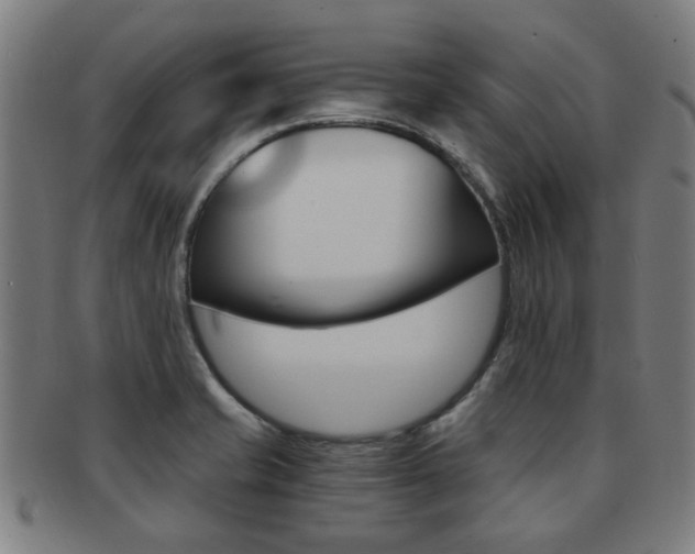 X0000091901421200709051055