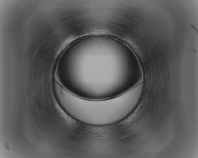 X0000091901422200709051055
