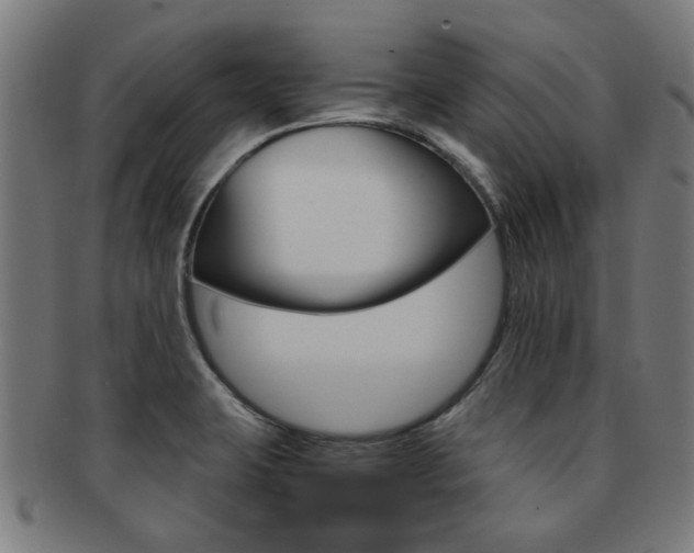 X0000091901423200709051055