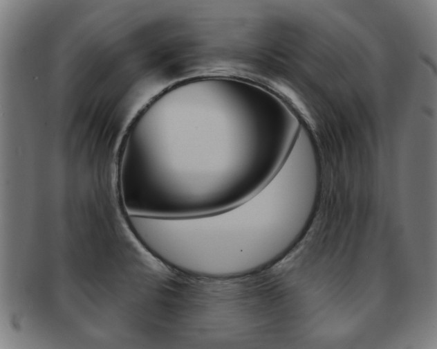 X0000091901424200709051055