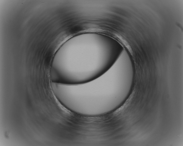 X0000091901425200709051055
