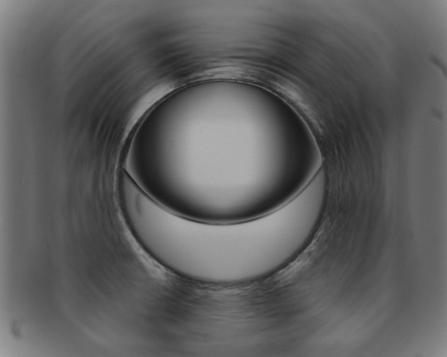 X0000091901426200709051055