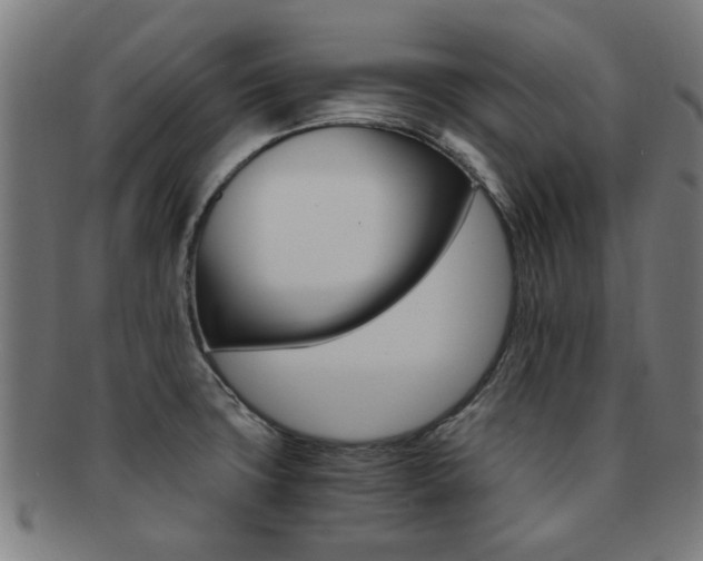 X0000091901427200709051055