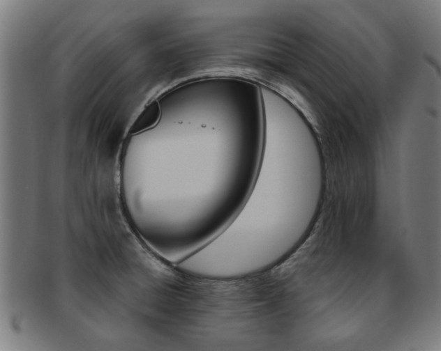 X0000091901428200709051055