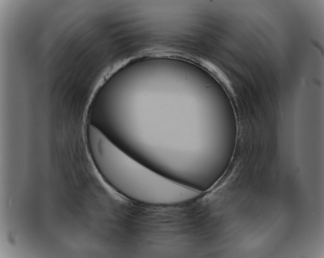 X0000091901429200709051055