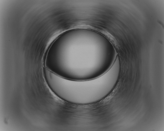 X0000091901430200709051055