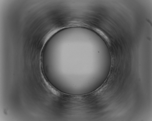 X0000091901431200709051055