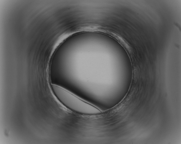 X0000091901432200709051055