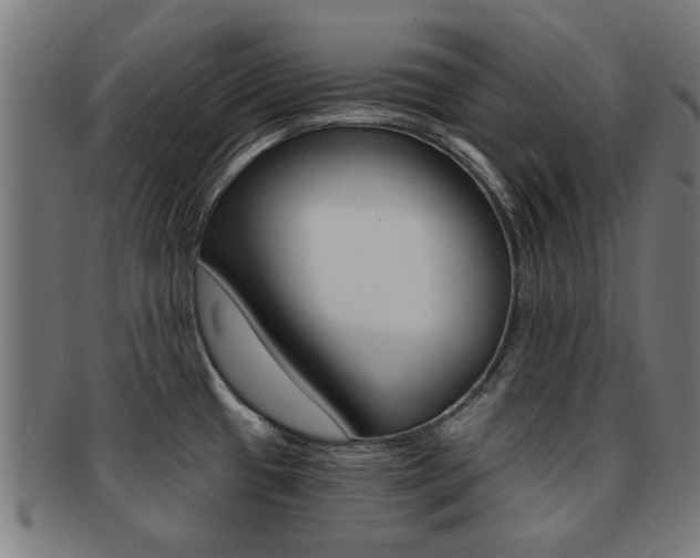 X0000091901433200709051055