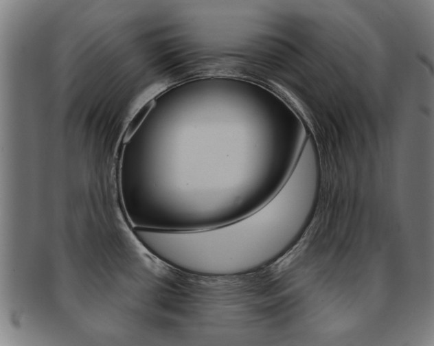 X0000091901434200709051055