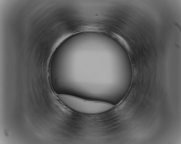 X0000091901435200709051055