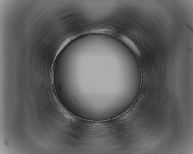 X0000091901436200709051055