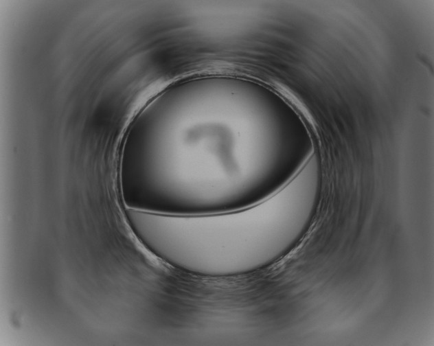 X0000091901437200709051055