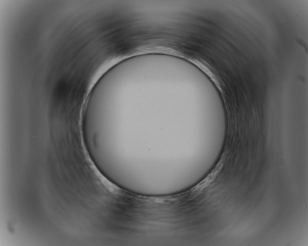 X0000091901438200709051055