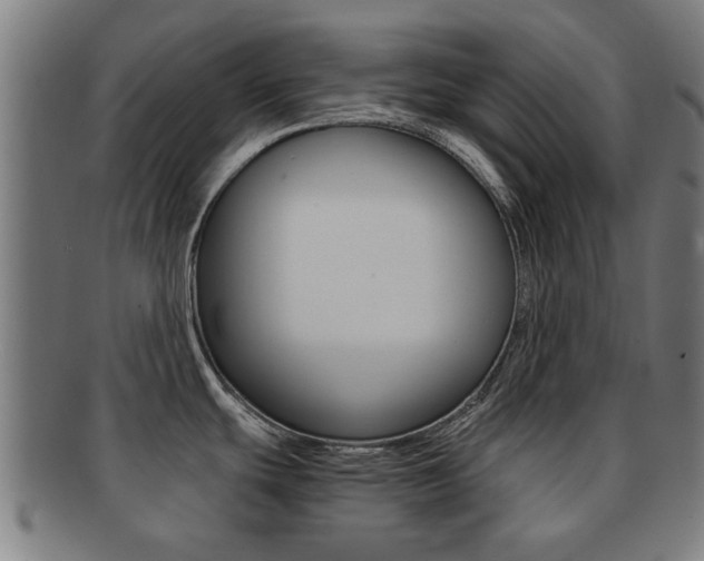 X0000091901439200709051055