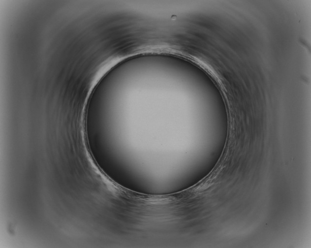 X0000091901440200709051055