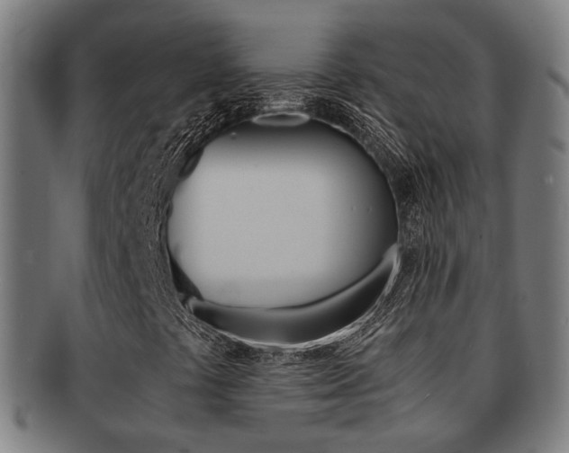 X0000091901441200709051054