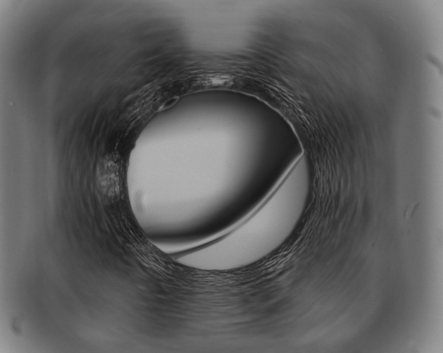 X0000091901442200709051054