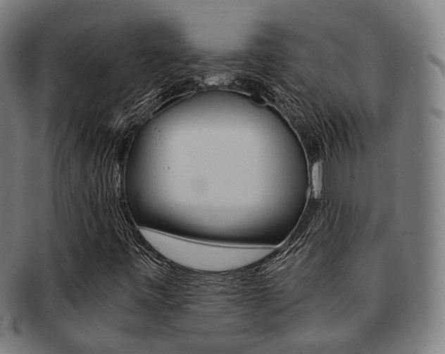 X0000091901443200709051054