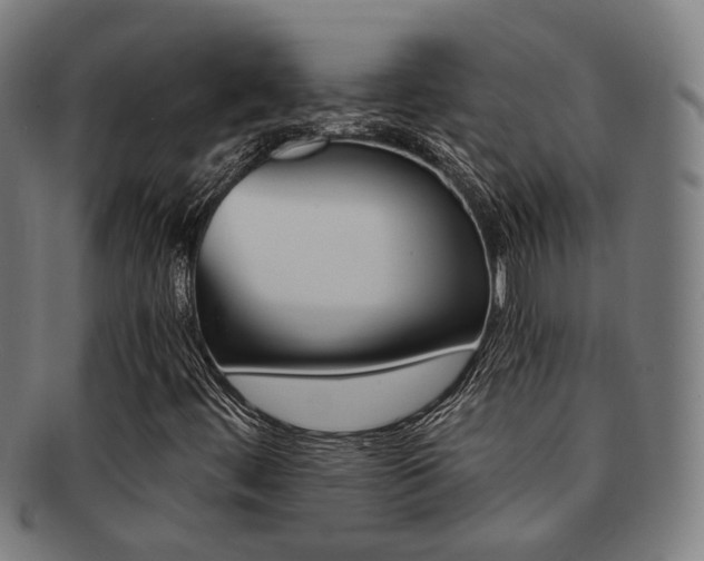 X0000091901444200709051054