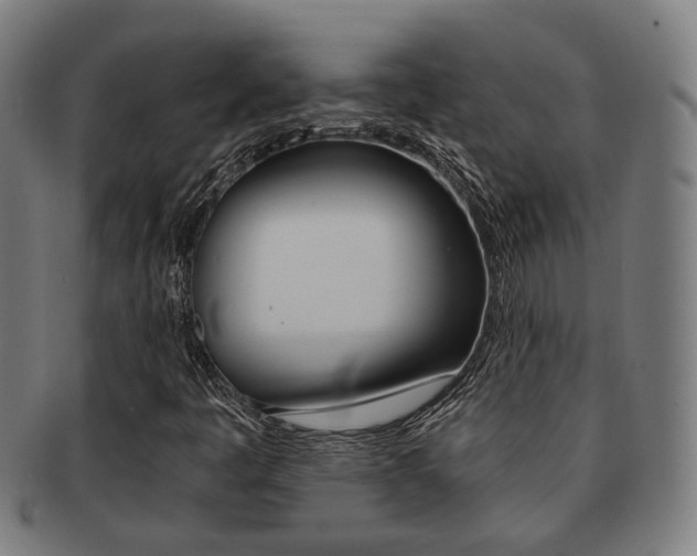 X0000091901445200709051054
