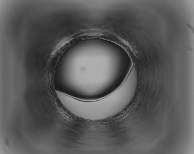 X0000091901448200709051054