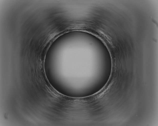 X0000091901449200709051054