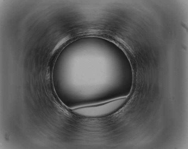 X0000091901450200709051054