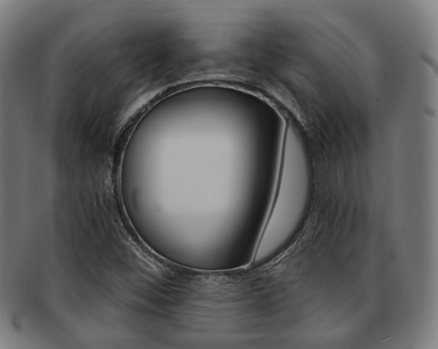X0000091901452200709051054
