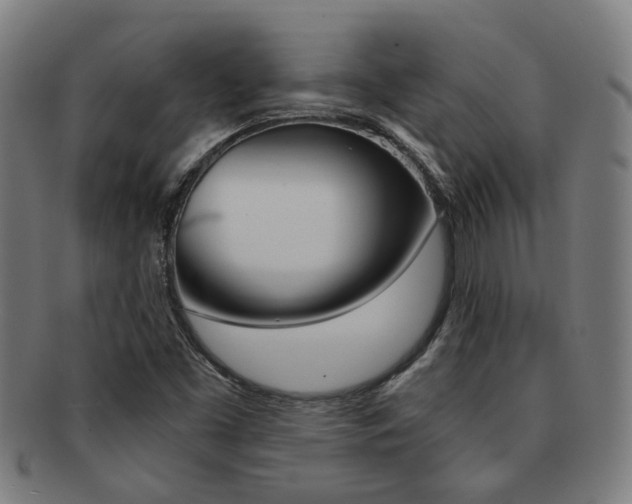 X0000091901453200709051054