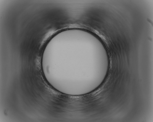 X0000091901454200709051054